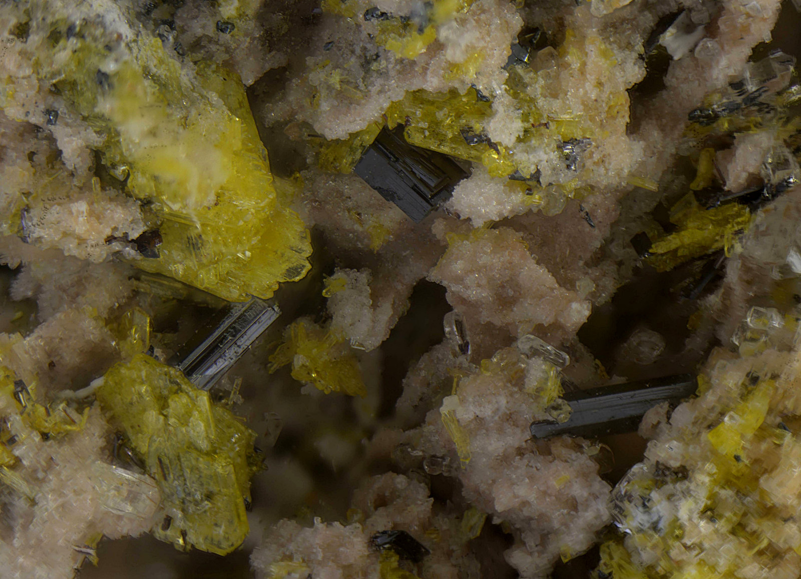 Pseudobrookita
Campo de visión de 5 mm.
(Autor: Antonio Carmona)