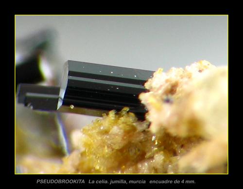 (Autor: josminer)
