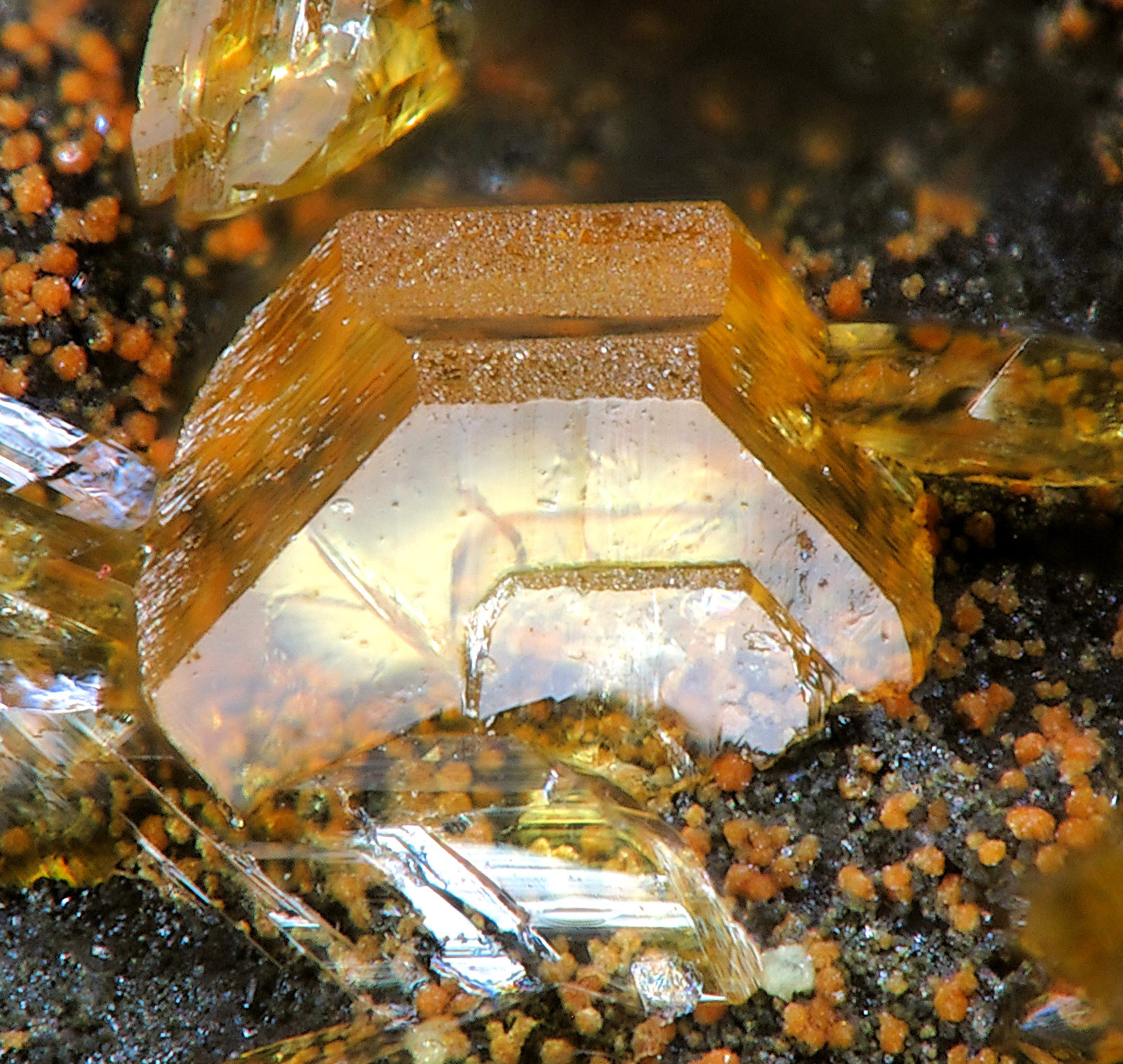 Pseudolaueita
fov 1.2 mm
(Autor: Jordi Fabre)