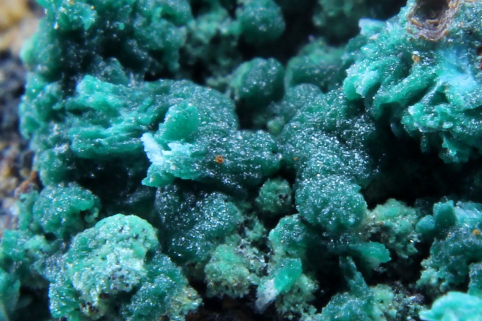 Pseudomalaquita
27 x 16 x 16 mm.
(Autor: José Luis Zamora)