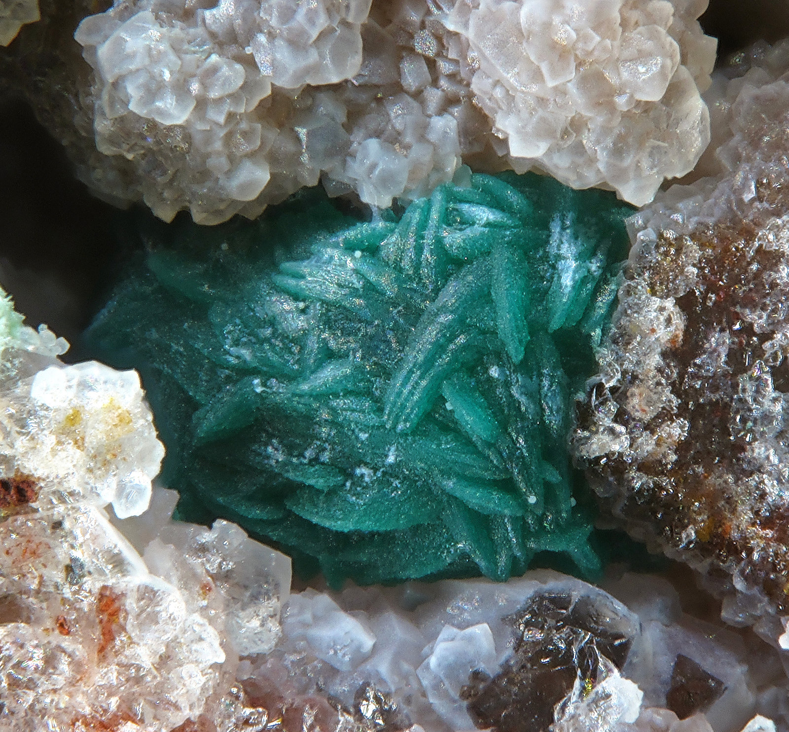 Pseudomalaquita
fov 1.5 mm
(Autor: Antonio P. López)