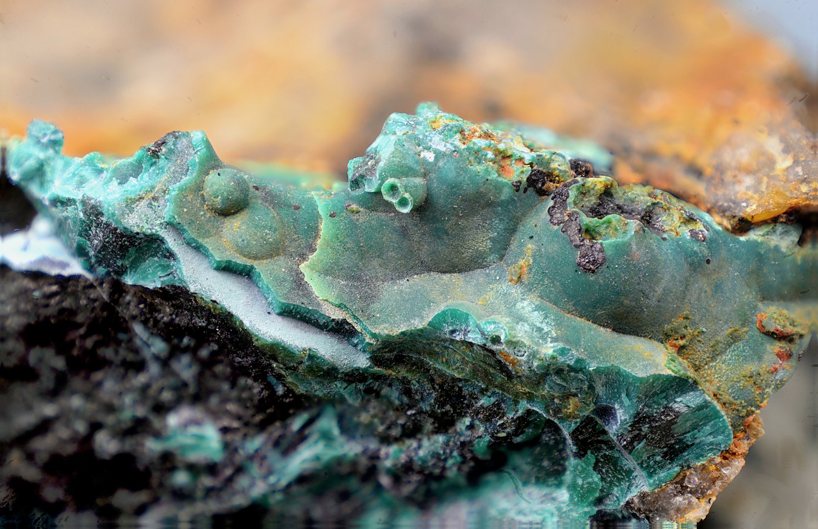 Pseudomalaquita
Campo de visión de 10 mm.
(Autor: Antonio Carmona)