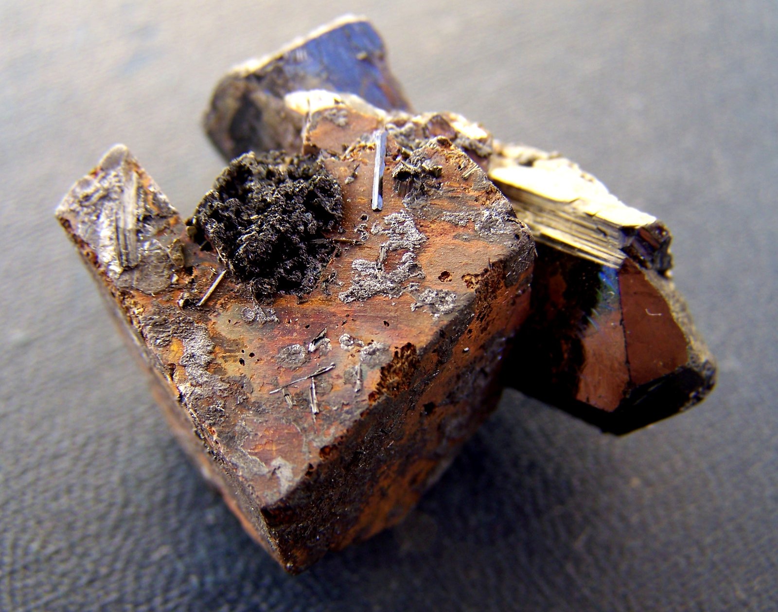 Goethita pseudo Siderita, Hematites, Chorlo
3,5cm x 3cm
(Autor: canada)