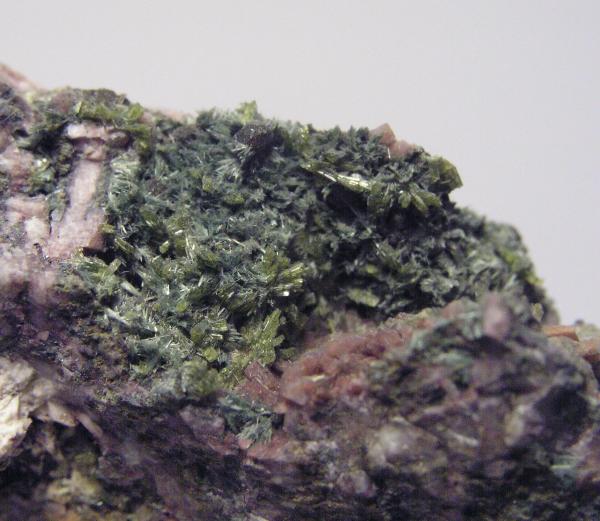 Pumpellyita.
Grupo de cristales tapizando 3 cm. de la pieza.
(Autor: Adrian Pesudo)