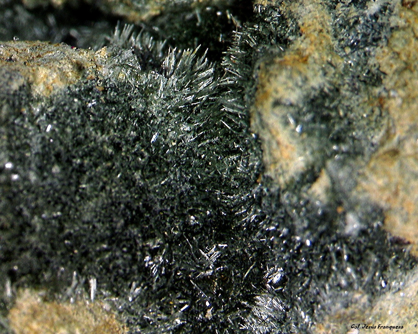 'Pumpellyita'
2´865 x 2´708 mm.
(Autor: Jesus Franquesa Baucells)