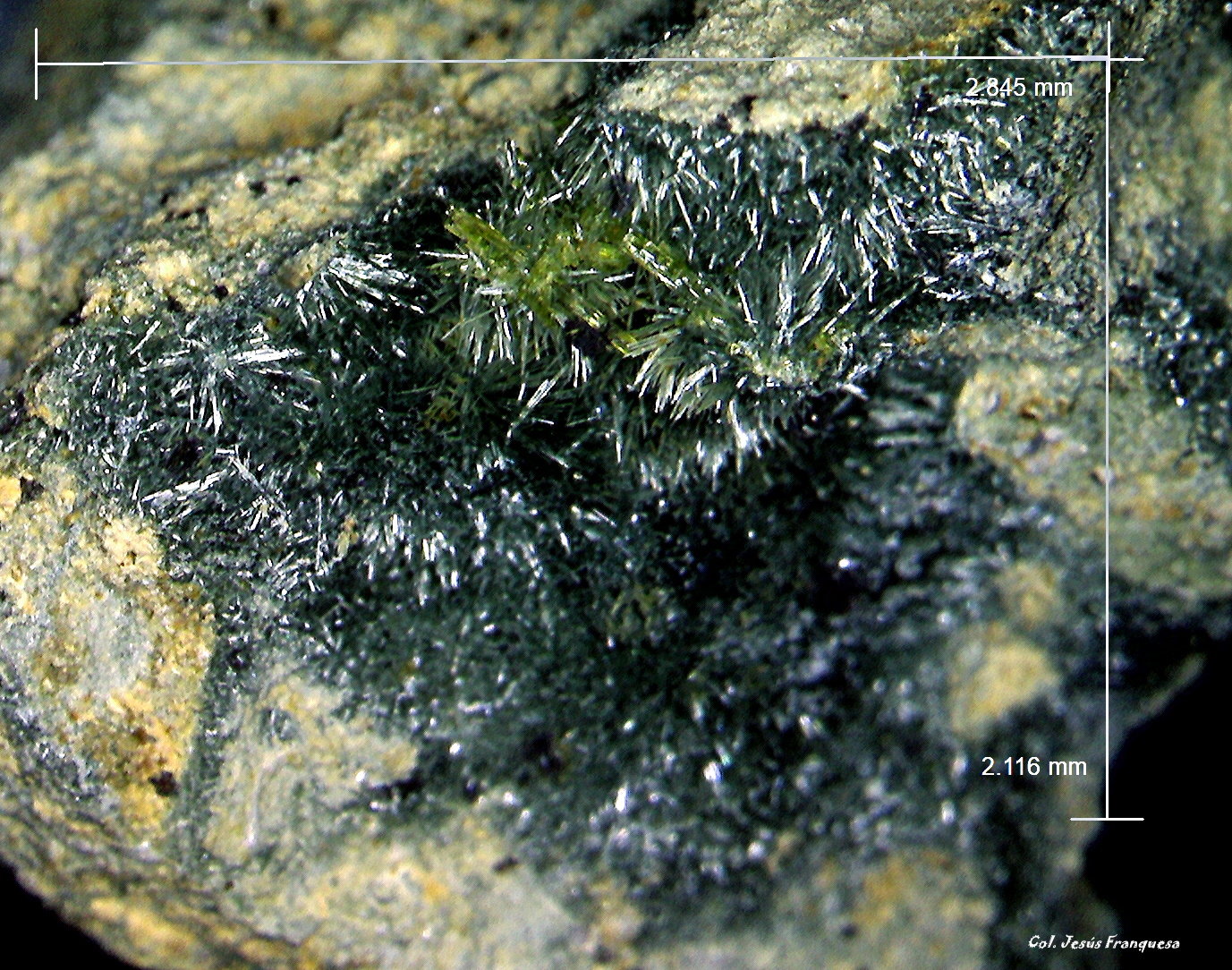 'Pumpellyita'
2´845 x 2´116 mm.
(Autor: Jesus Franquesa Baucells)