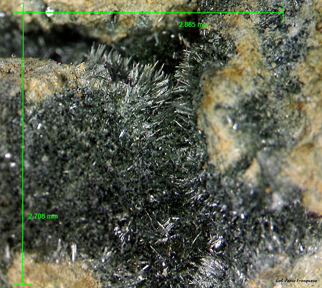 'Pumpellyita'.
2´865 x 2´708 mm.
(Autor: Jesus Franquesa Baucells)