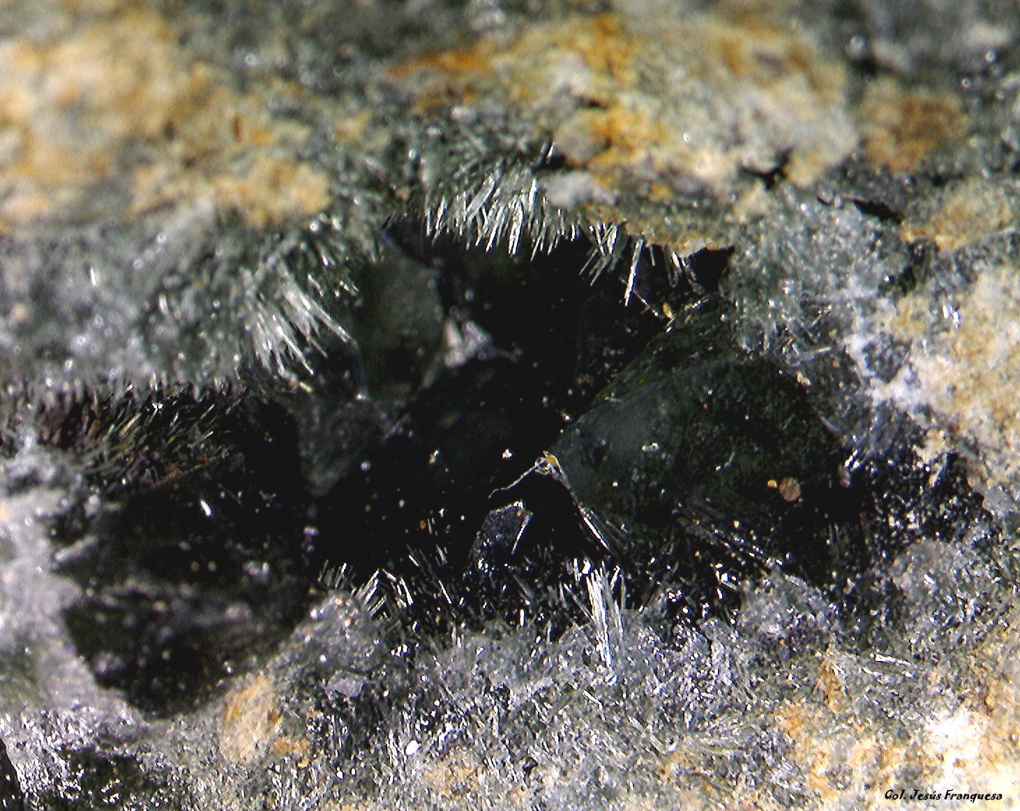 'Pumpellyita' y Cuarzo.
3´3610 x 2´323 mm.
(Autor: Jesus Franquesa Baucells)