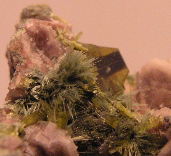 Clinozoisita
Cristales de 5 mm.
(Autor: Adrian Pesudo)