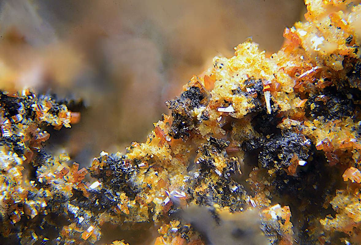 Calderonita
Campo de visión de 2 mm.
(Autor: Antonio Carmona)