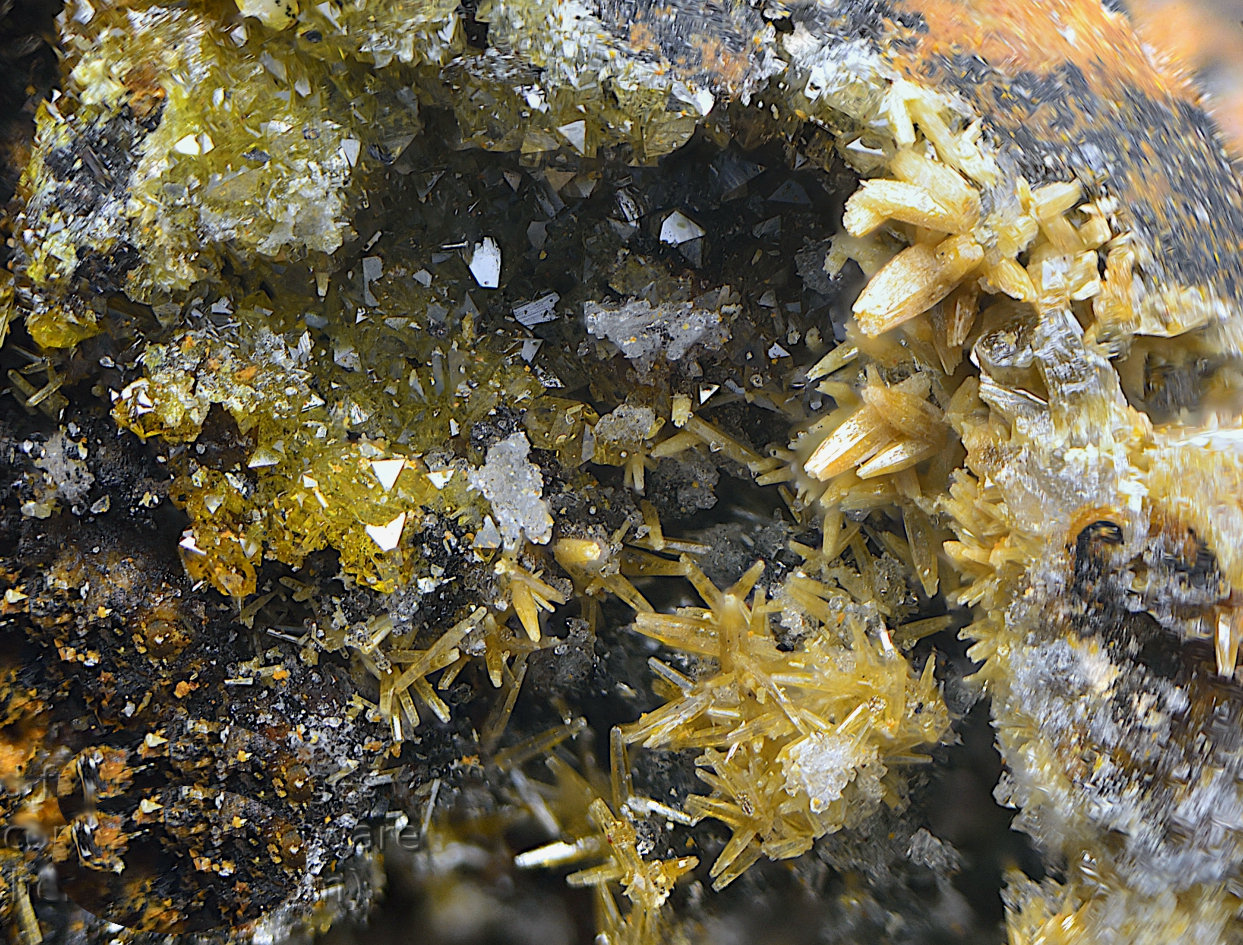 Vanadinita y Descloizita
Campo de visión de 5 mm.
(Autor: Antonio Carmona)