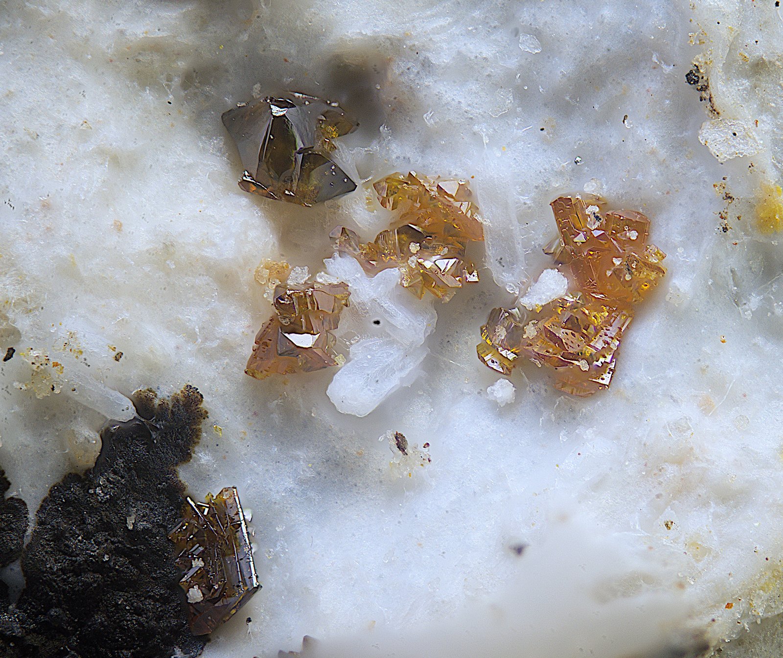 Calderonita y descloizita.
Campo de visión de 1 mm.
(Autor: Antonio Carmona)