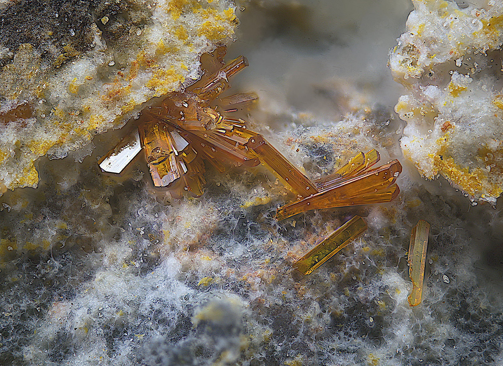Calderonita
Campo de visión de  1 mm.
(Autor: Antonio Carmona)