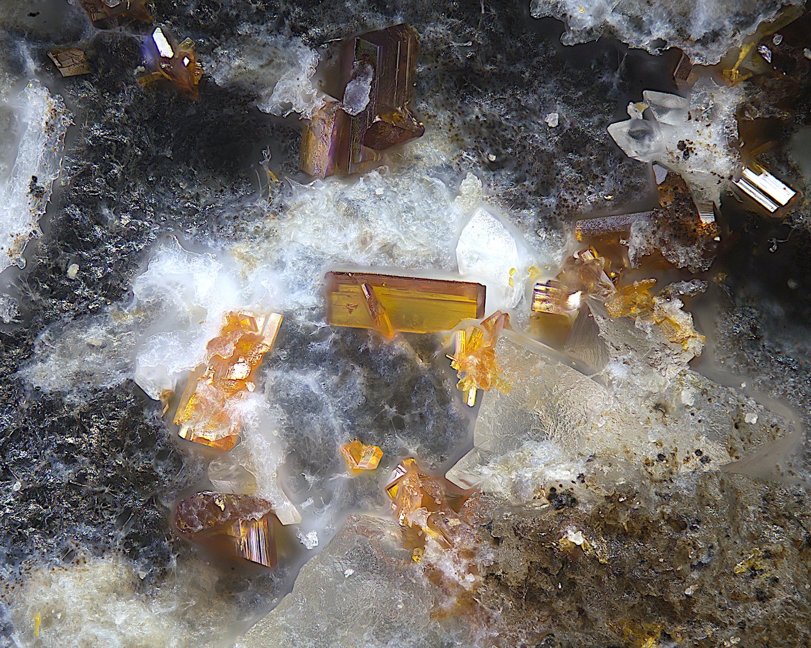 Calderonita
Campo de visión de  1 mm.
(Autor: Antonio Carmona)