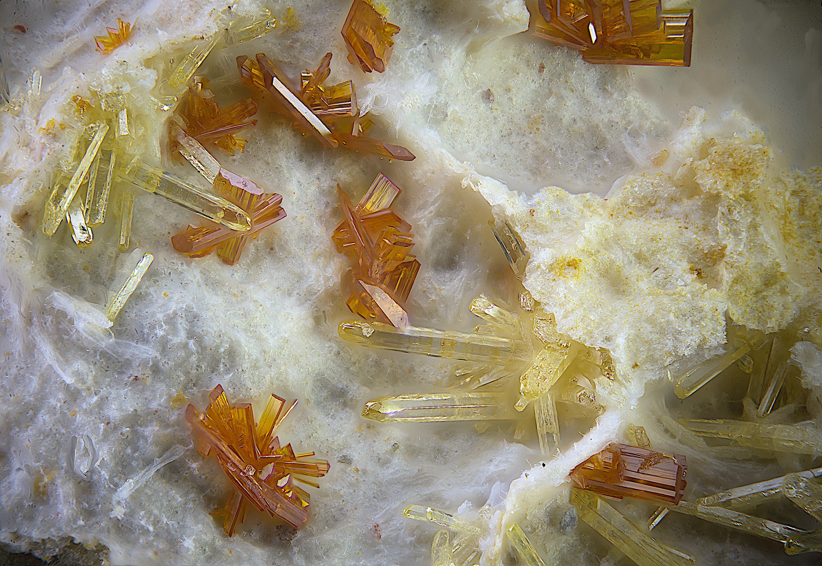 Calderonita y vanadinita
Campo de visión de  2 mm.
(Autor: Antonio Carmona)