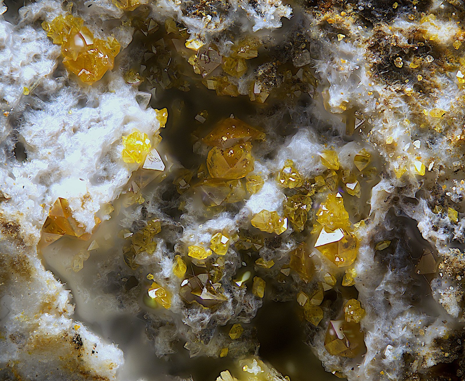 Descloizita
Campo de visión de  2 mm.
(Autor: Antonio Carmona)