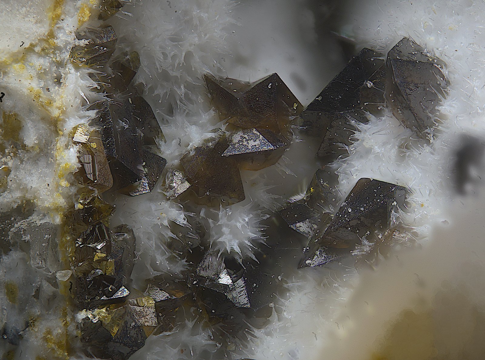 Descloizita
Campo de visión de  2 mm.
(Autor: Antonio Carmona)
