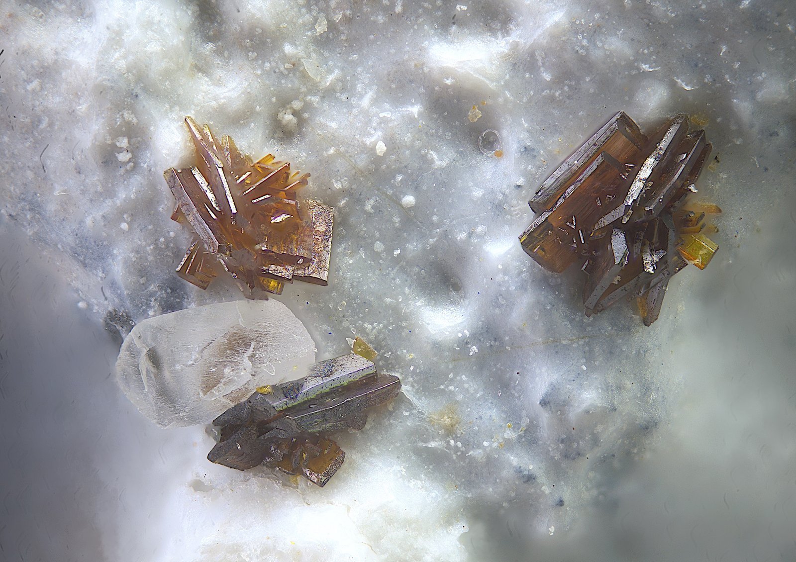 Calderonita
Campo de visión de  2 mm.
(Autor: Antonio Carmona)