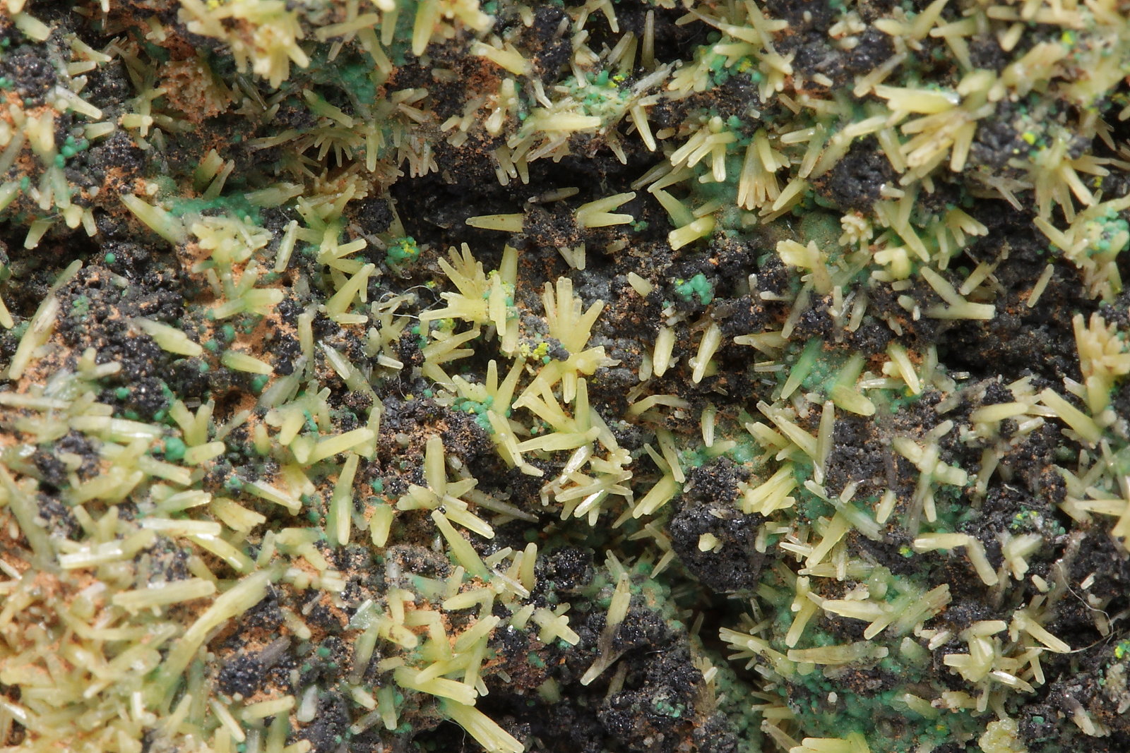 Piromorfita, Heterogenita, Vauquelinita, Pseudomalaquita
campo de visión de unos 30 mm
(Autor: Ivan Blanco (PDM))