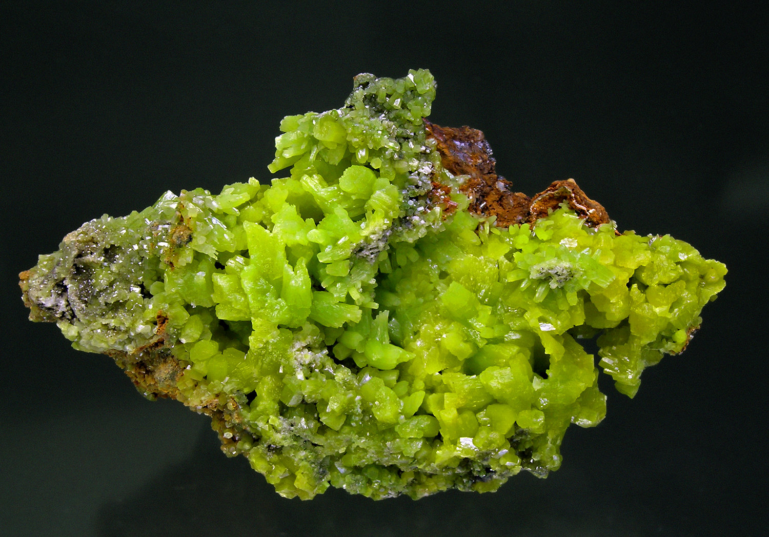 Piromorfita
10.6 × 6.6 × 4.8 cm
(Autor: Jordi Fabre)