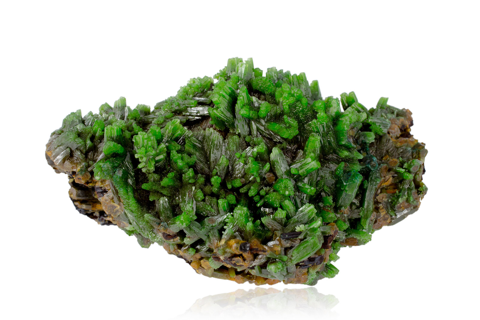 Piromorfita en Barita con limonita
9.5 x 5.5 x 4.5 cm / cristal principal: 1.4 cm
(Autor: Museo MIM)