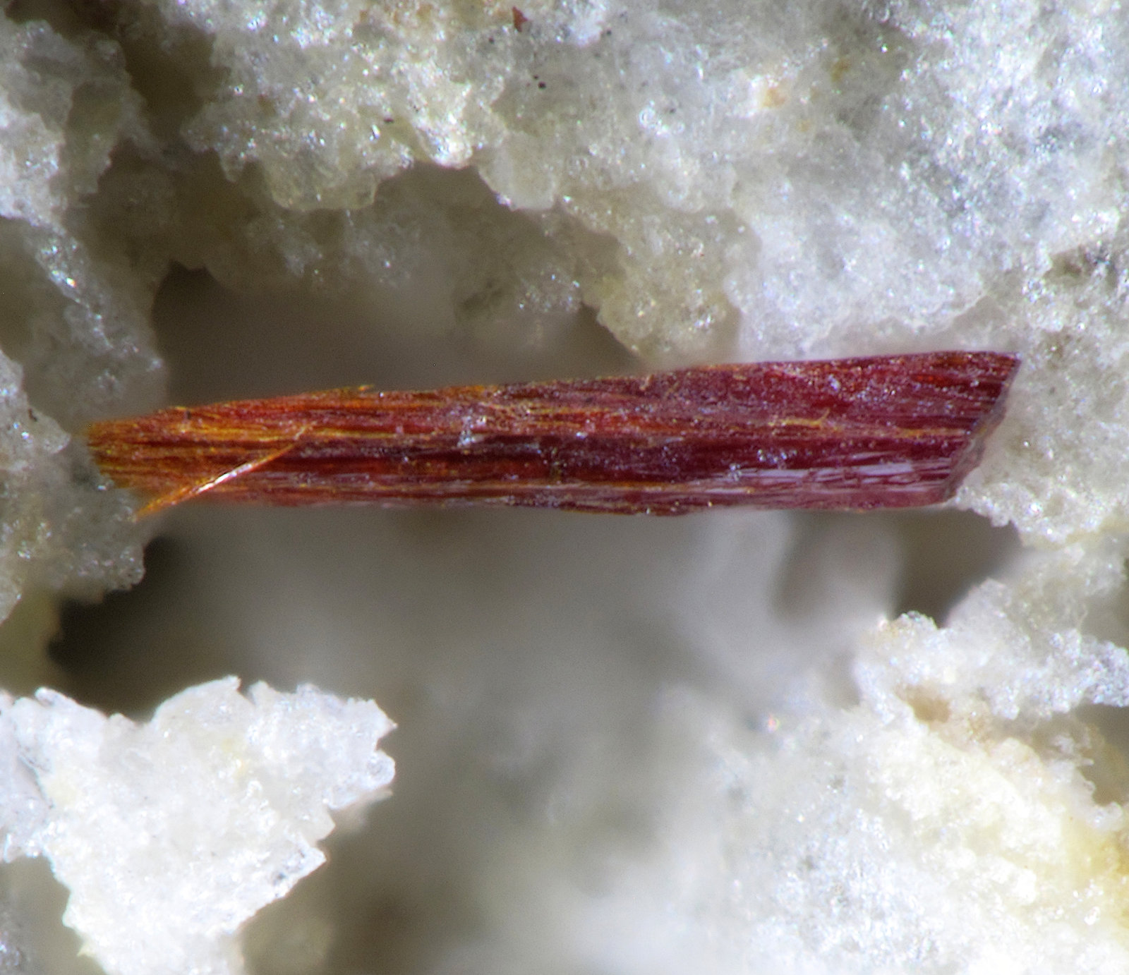 Pyrostilpnita
1.1mm
(Autor: yowanni)