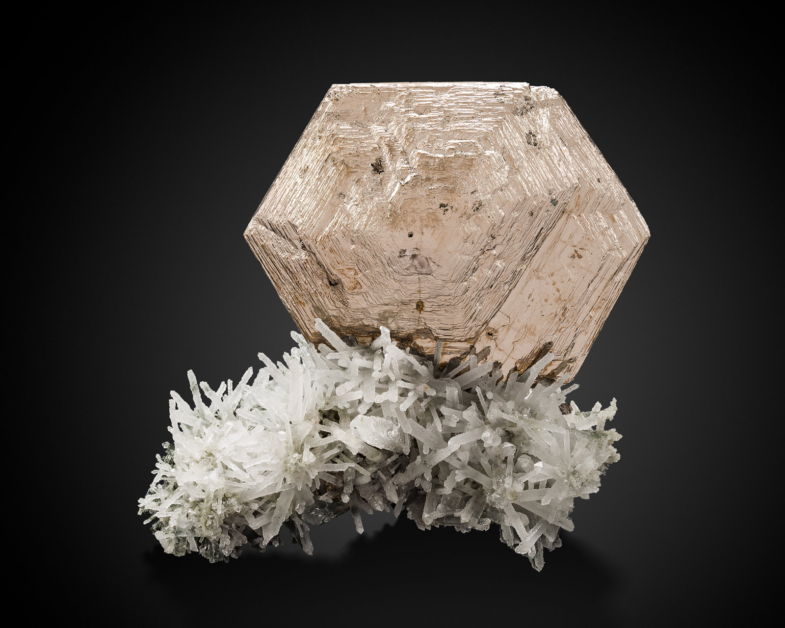 Pirrotita
5 x 3 x 5 cm / cristal principal: 3.9 cm
(Autor: Museo MIM)