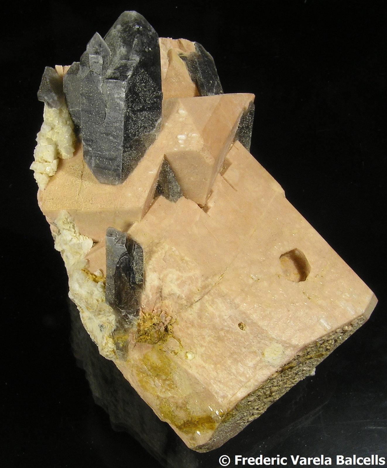 Cuarzo (variedad ahumado), Microclina, Albita
8 x 4,5 x 4 cm. Cristal mayor de cuarzo 3 x 1,5 cm.
(Autor: Frederic Varela)