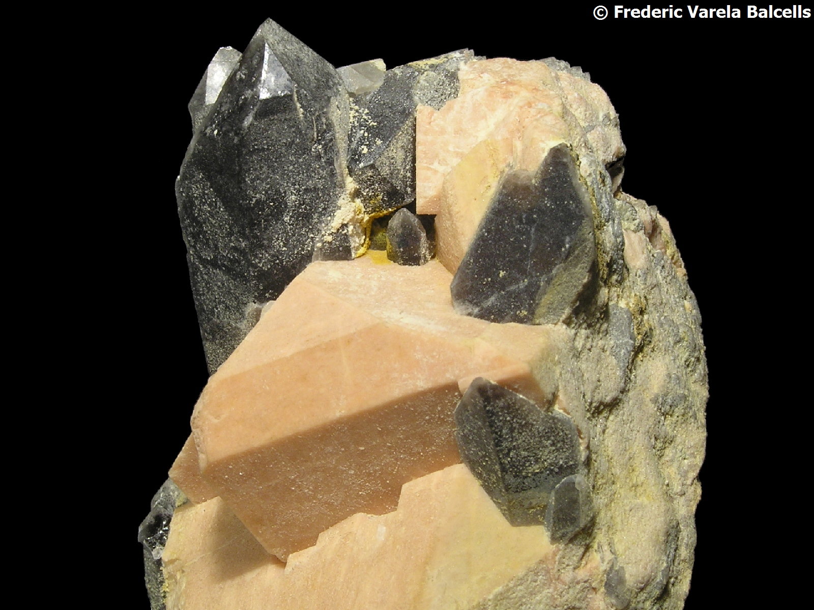 Cuarzo (variedad ahumado), Microclina, Albita
Encuadre 4 x 4 cm.
(Autor: Frederic Varela)