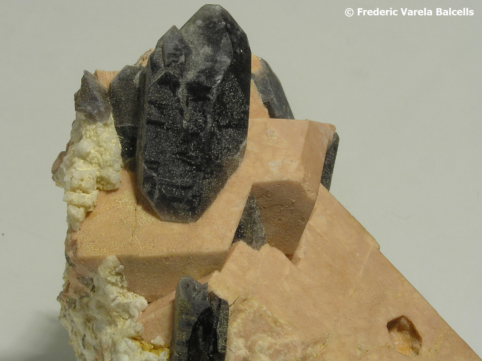 Cuarzo (variedad ahumado), Microclina, Albita
Encuadre 5 x 5 cm.
(Autor: Frederic Varela)