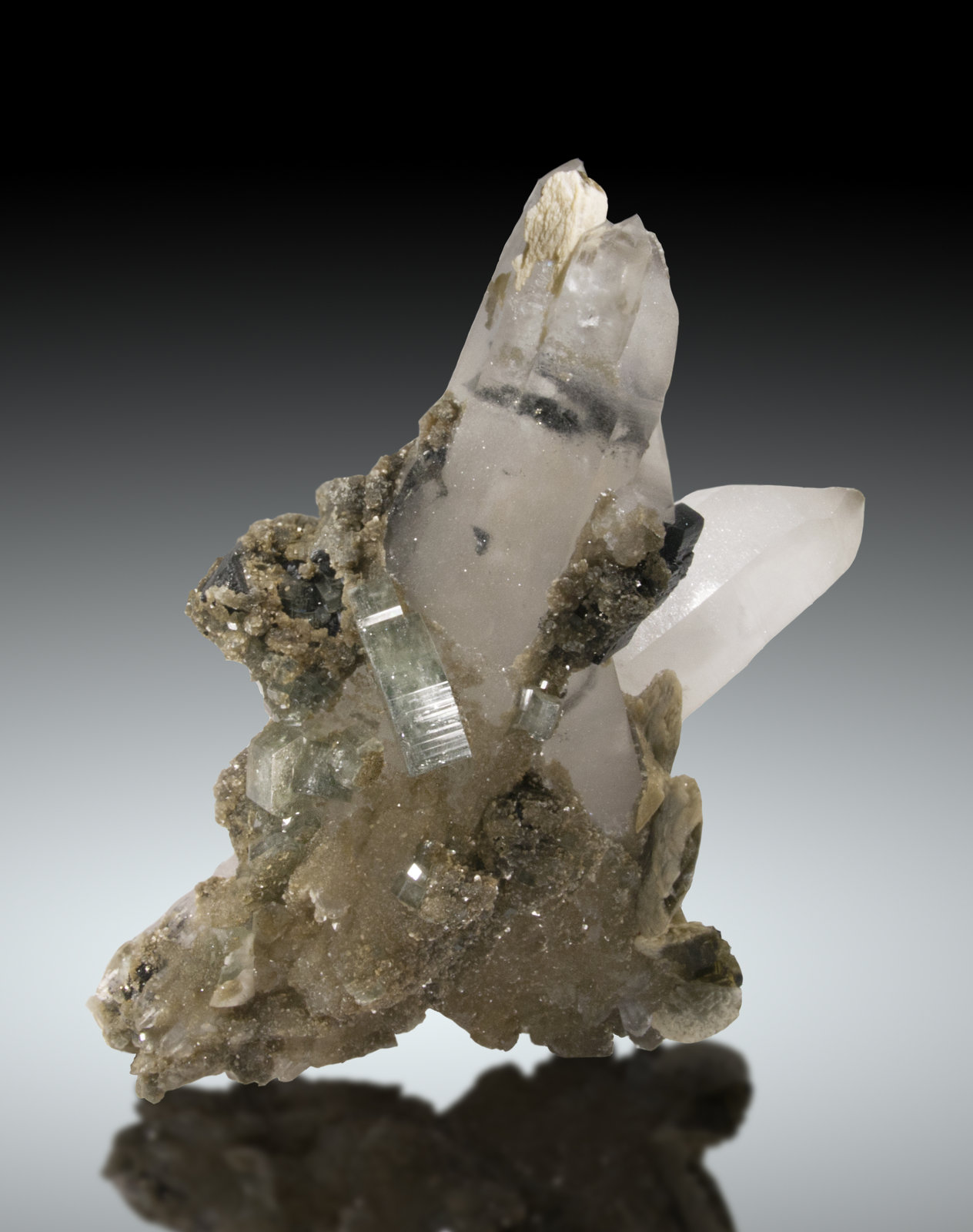 Cuarzo, Fluorapatito, Siderita, Ferberita
21 x 14 cm
(Autor: Raul Vancouver)