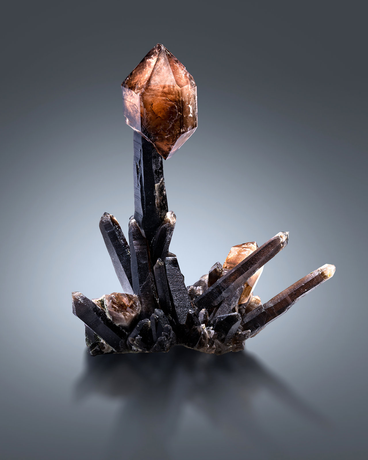 Cuarzo (variedades ahumado y cetro)
22.5 x 17 x 30 cm / cristal principal: 29 cm
(Autor: Museo MIM)