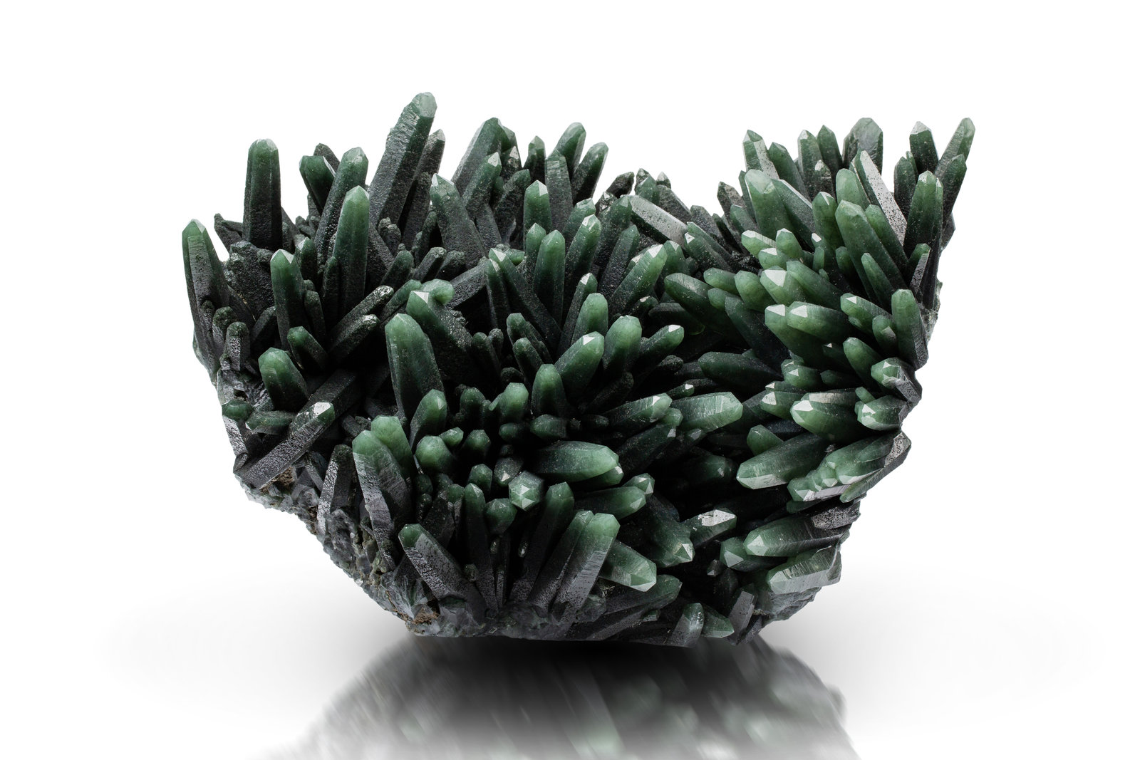 Cuarzo (variedad prasio)
23 x 28 x 7.5 cm / cristal principal: 7.2 cm
(Autor: Museo MIM)