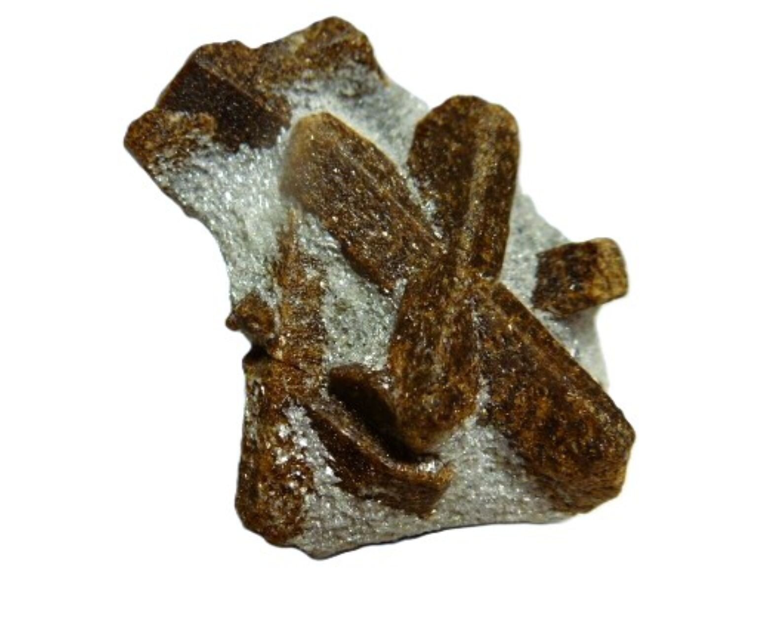 Estaurolita
4 x 3 cm.
(Autor: javier ruiz martin)