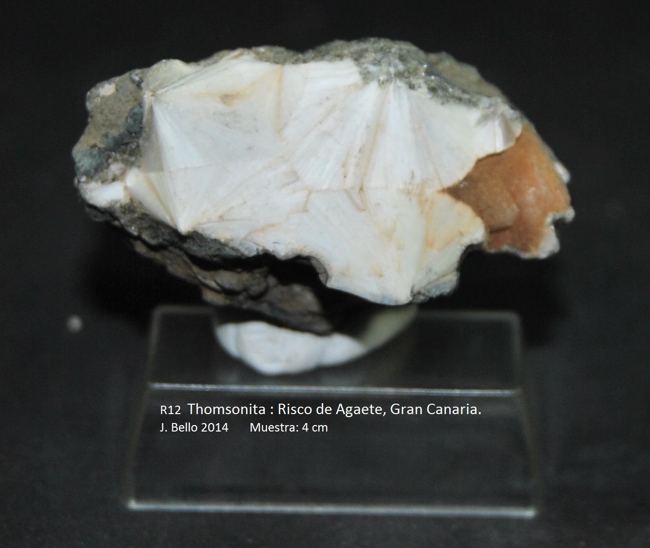 Thomsonita
4 cm
(Autor: Jose Bello)
