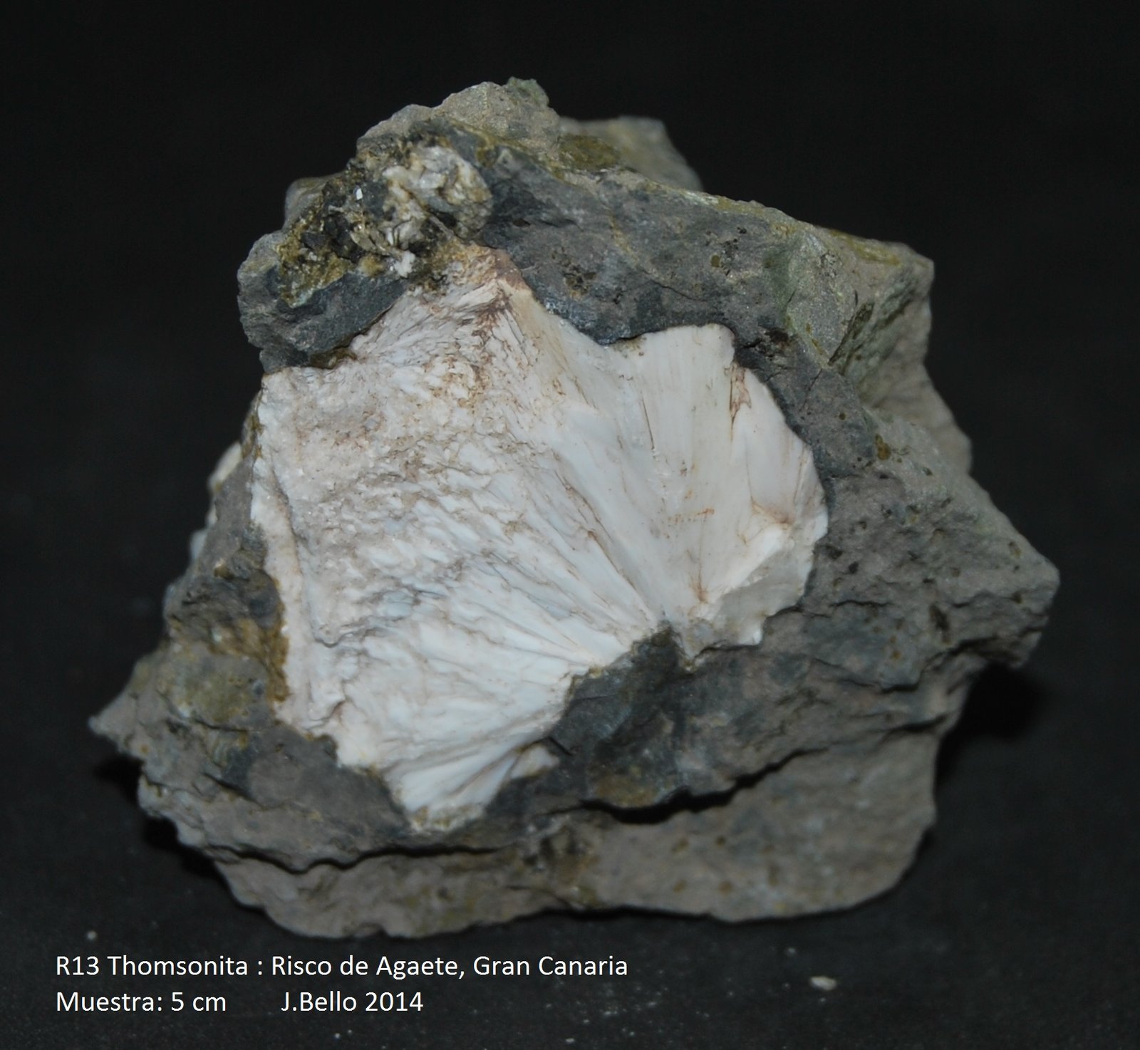 Thomsonita
5 cm
(Autor: Jose Bello)