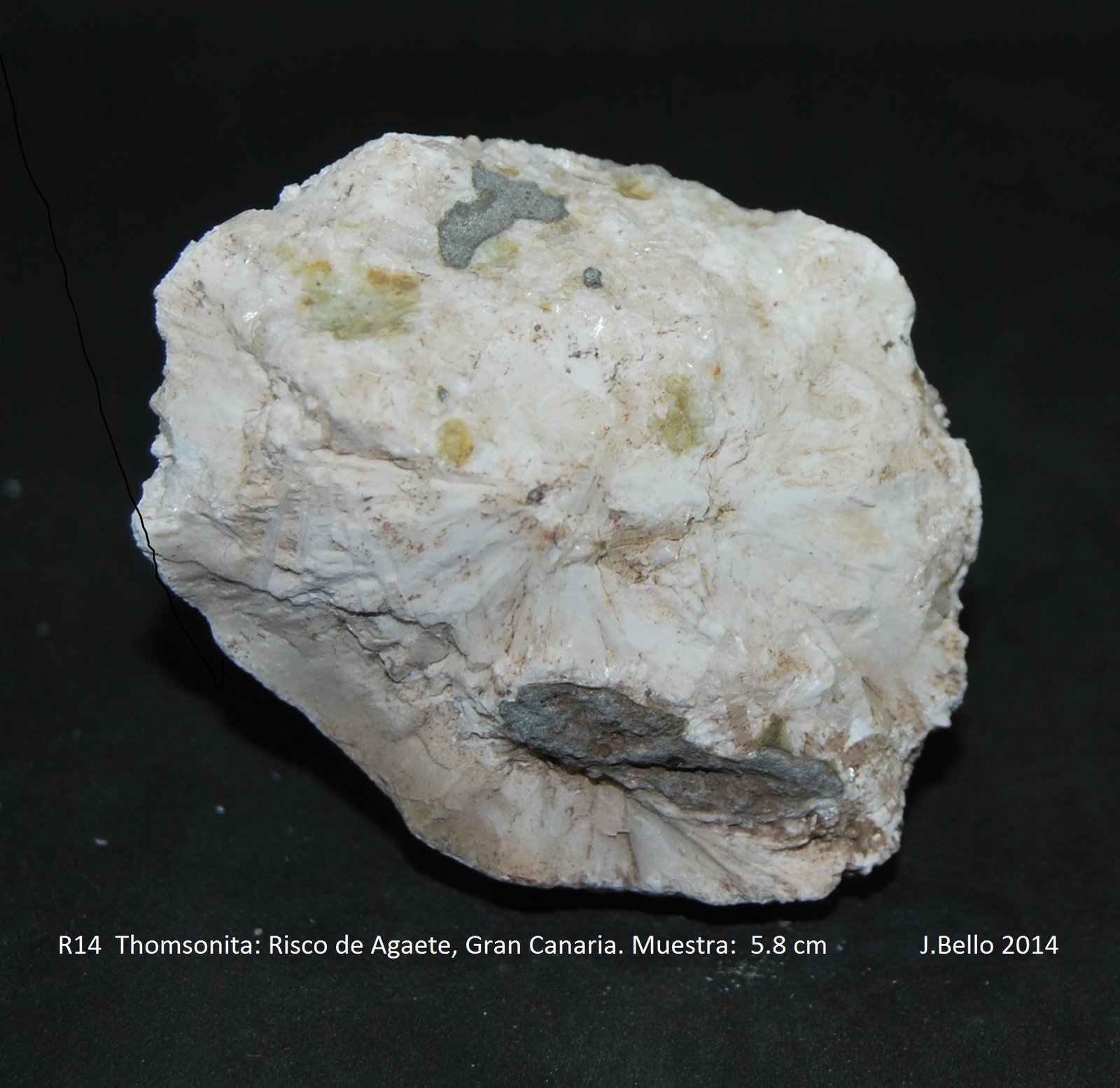 Thomsonita...
5.8 cm
(Autor: Jose Bello)