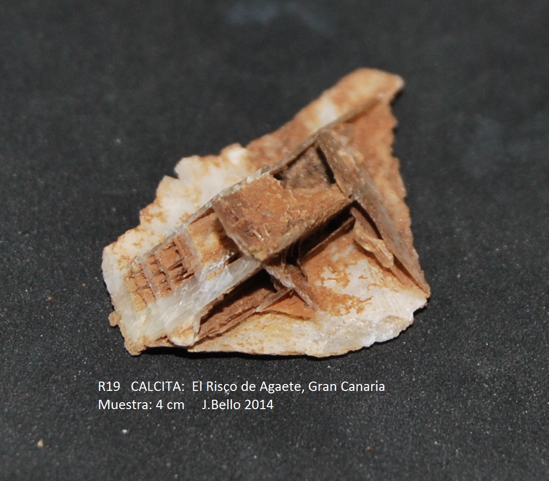 Calcita
4 cm
(Autor: Jose Bello)
