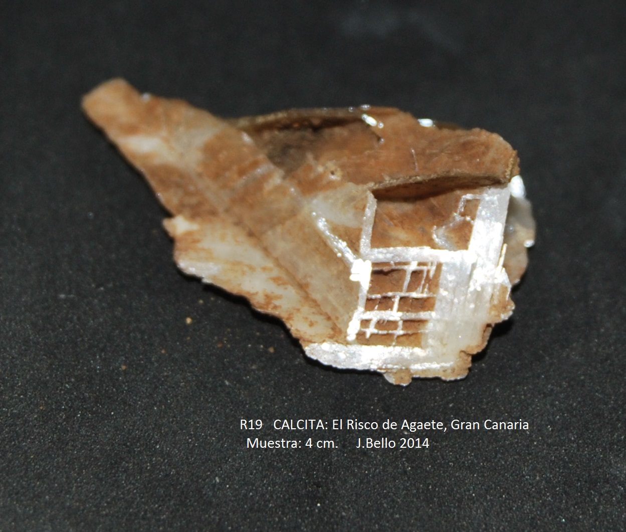 Calcita
4 cm
(Autor: Jose Bello)