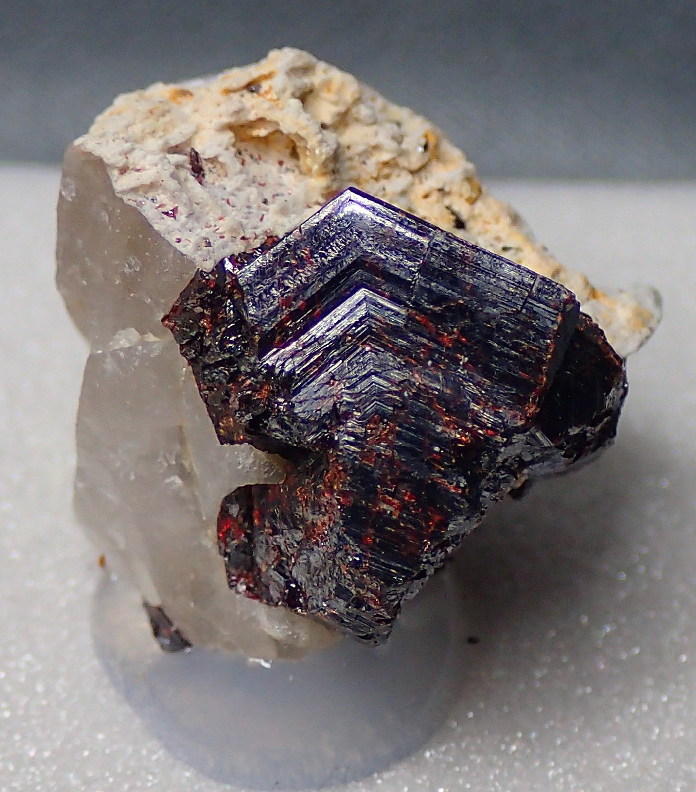 Rutilo
2,3 x 1,5 x 1 cm
(Autor: Frederic Varela)