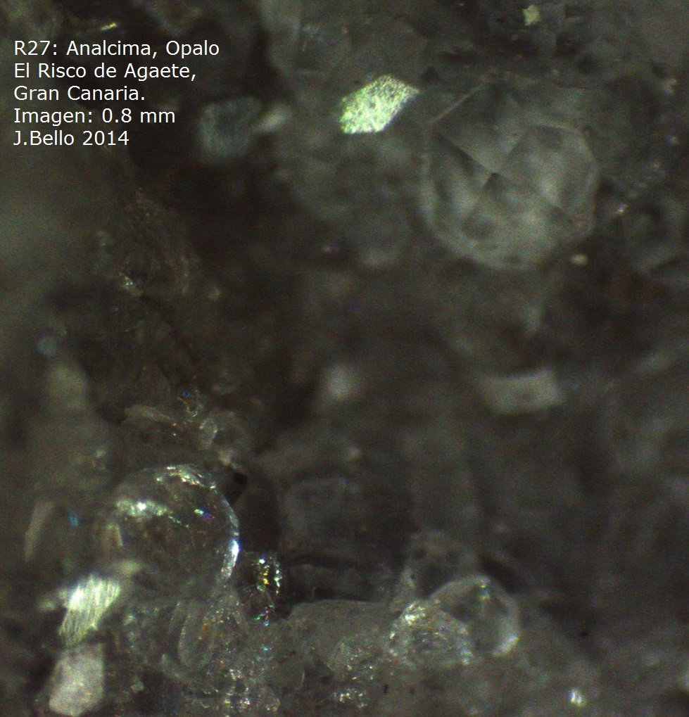 Analcima
imagen 0.8 mm
(Autor: Jose Bello)