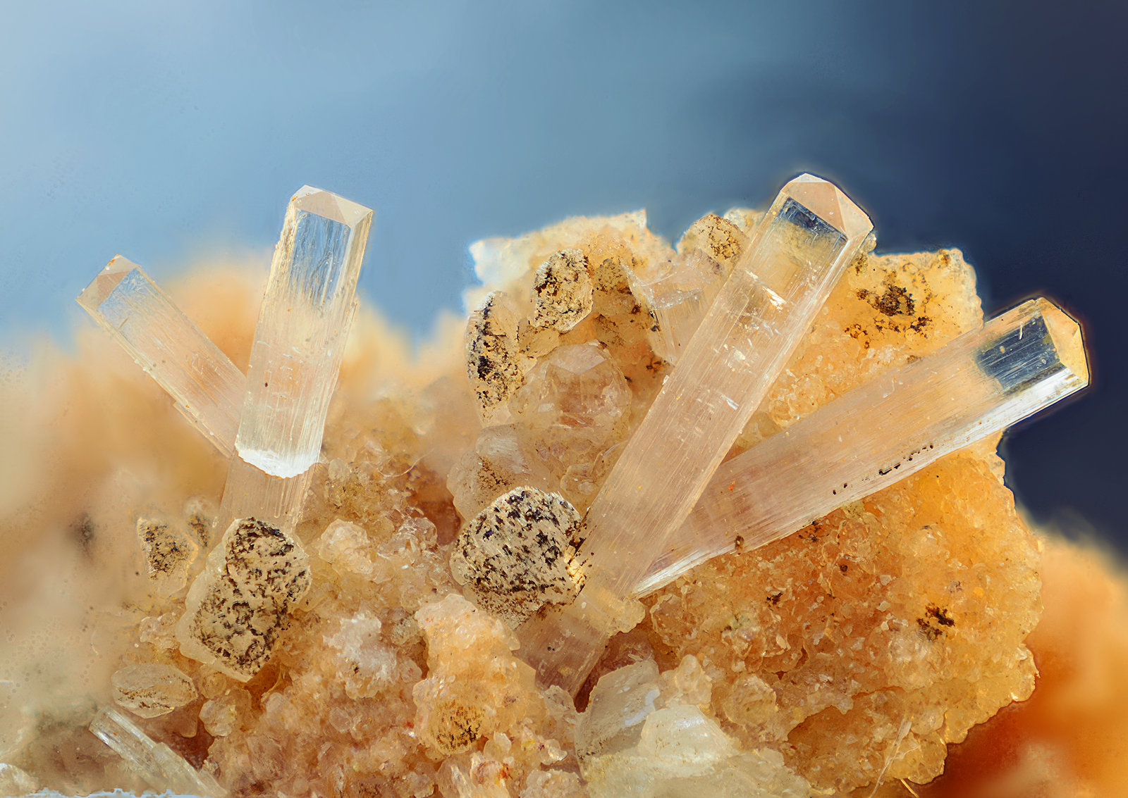 Natrolita
Campo de visión de 3 mm
(Autor: Antonio Carmona)