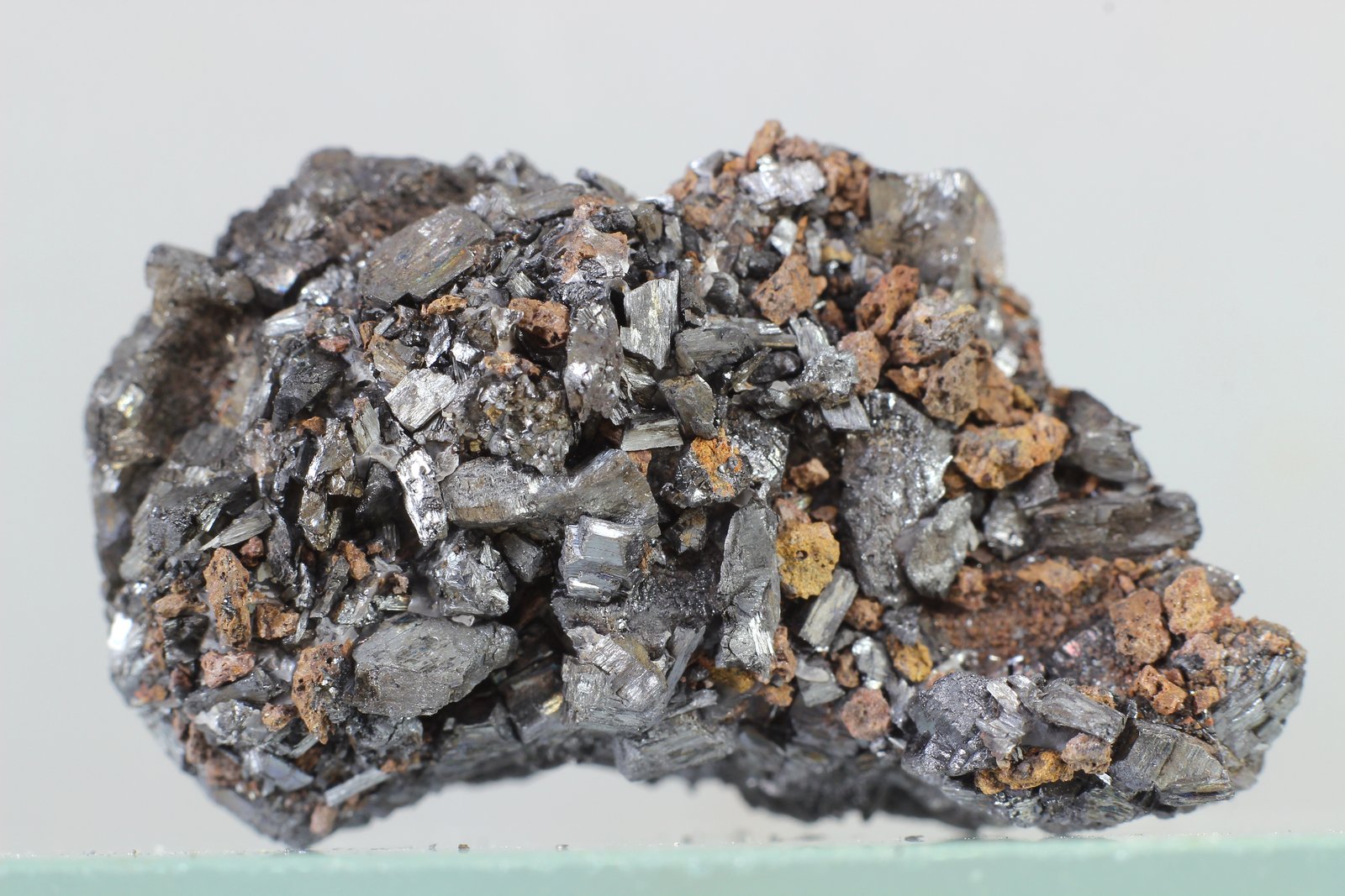 Ramsdellita
36x22 mm
(Autor: Juan Espino)