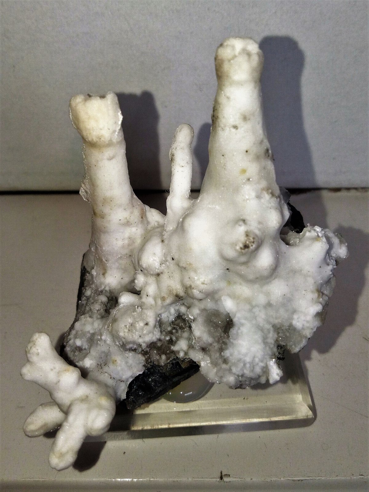 Aragonito
5x5 cm.
(Autor: Adri Rodríguez)