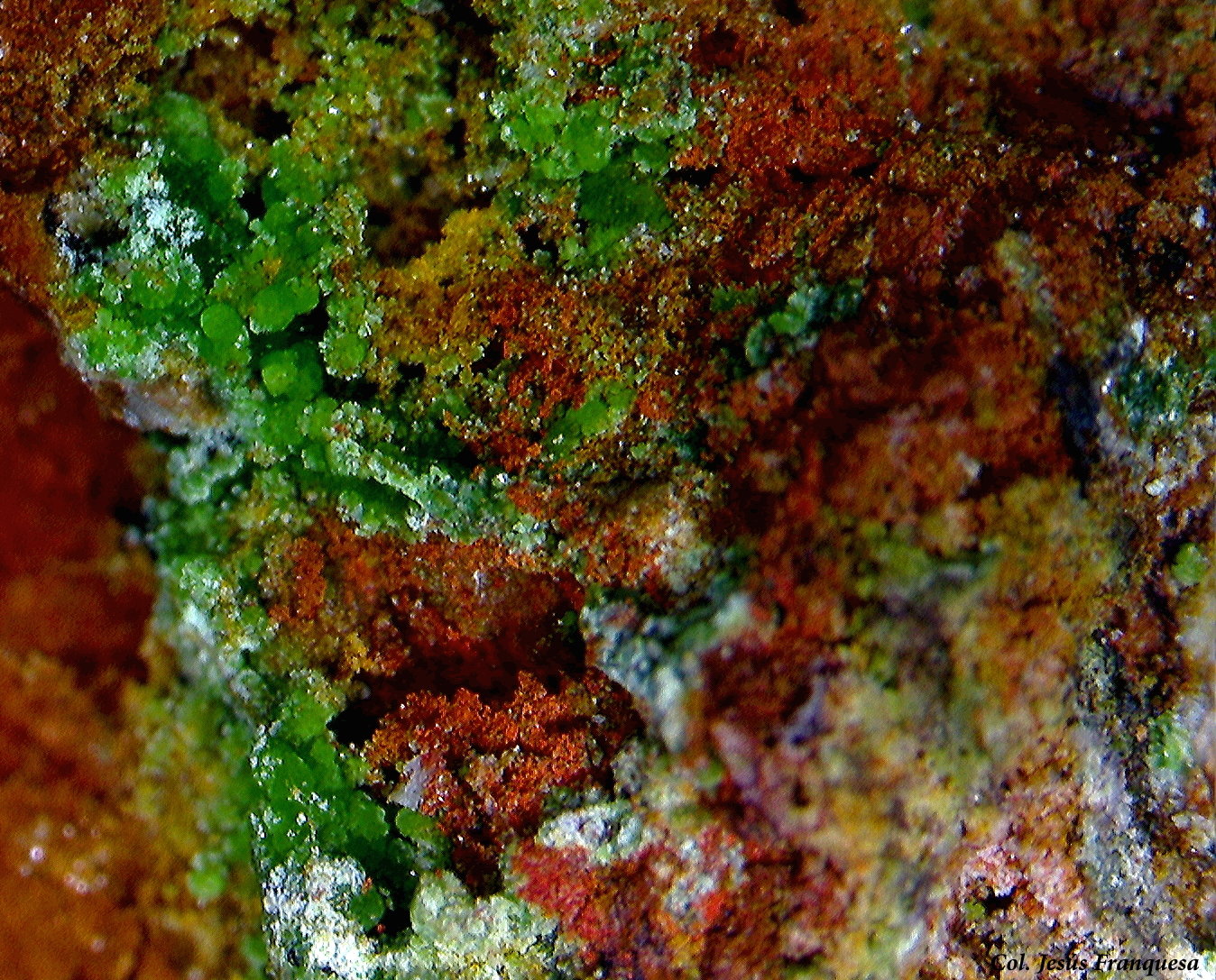 Reichenbachita.
2´48 x 1´79 mm.
(Autor: Jesus Franquesa Baucells)