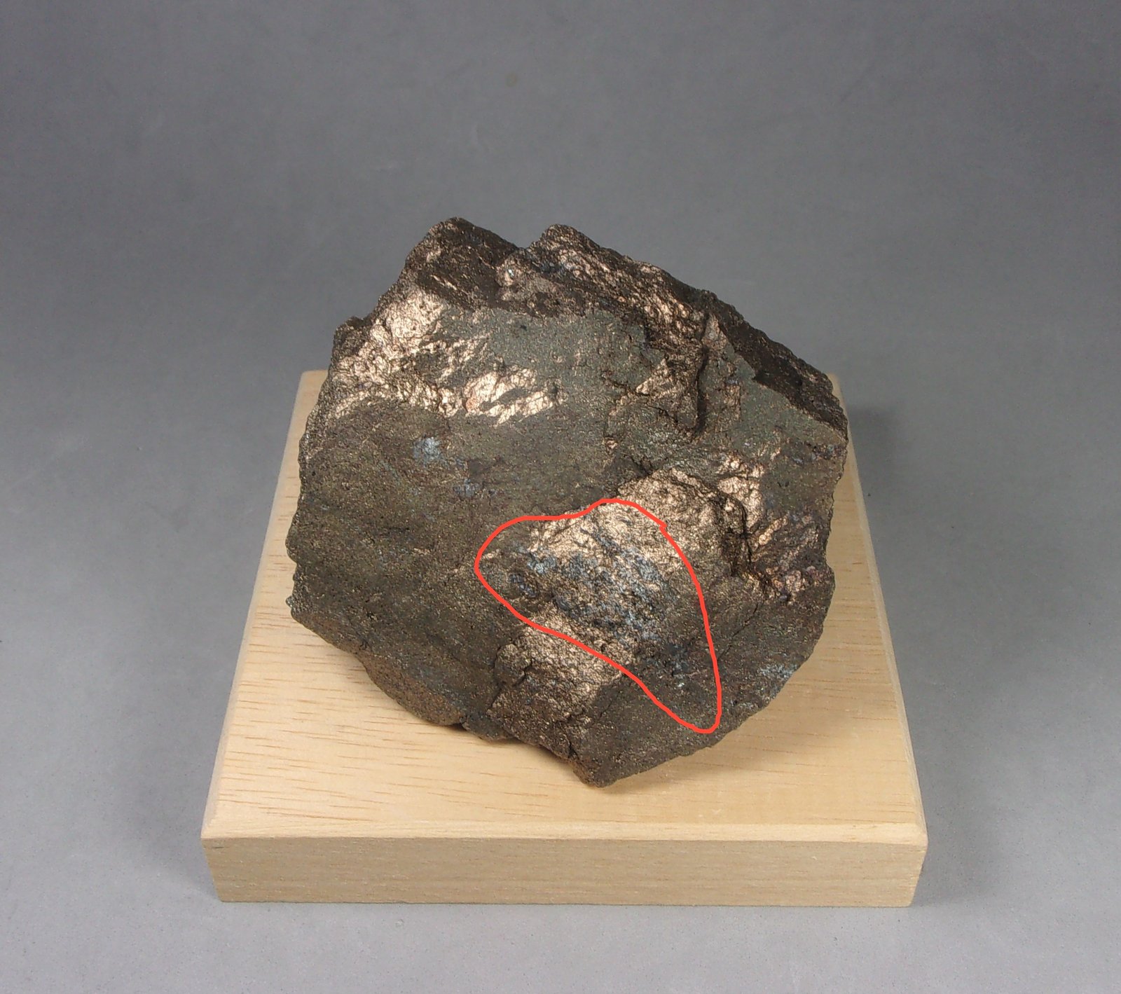 Renierita con Briartita
6,7 x 6,2 x 3,5 cm.  286.6 g.
(Autor: J. G. Alcolea)