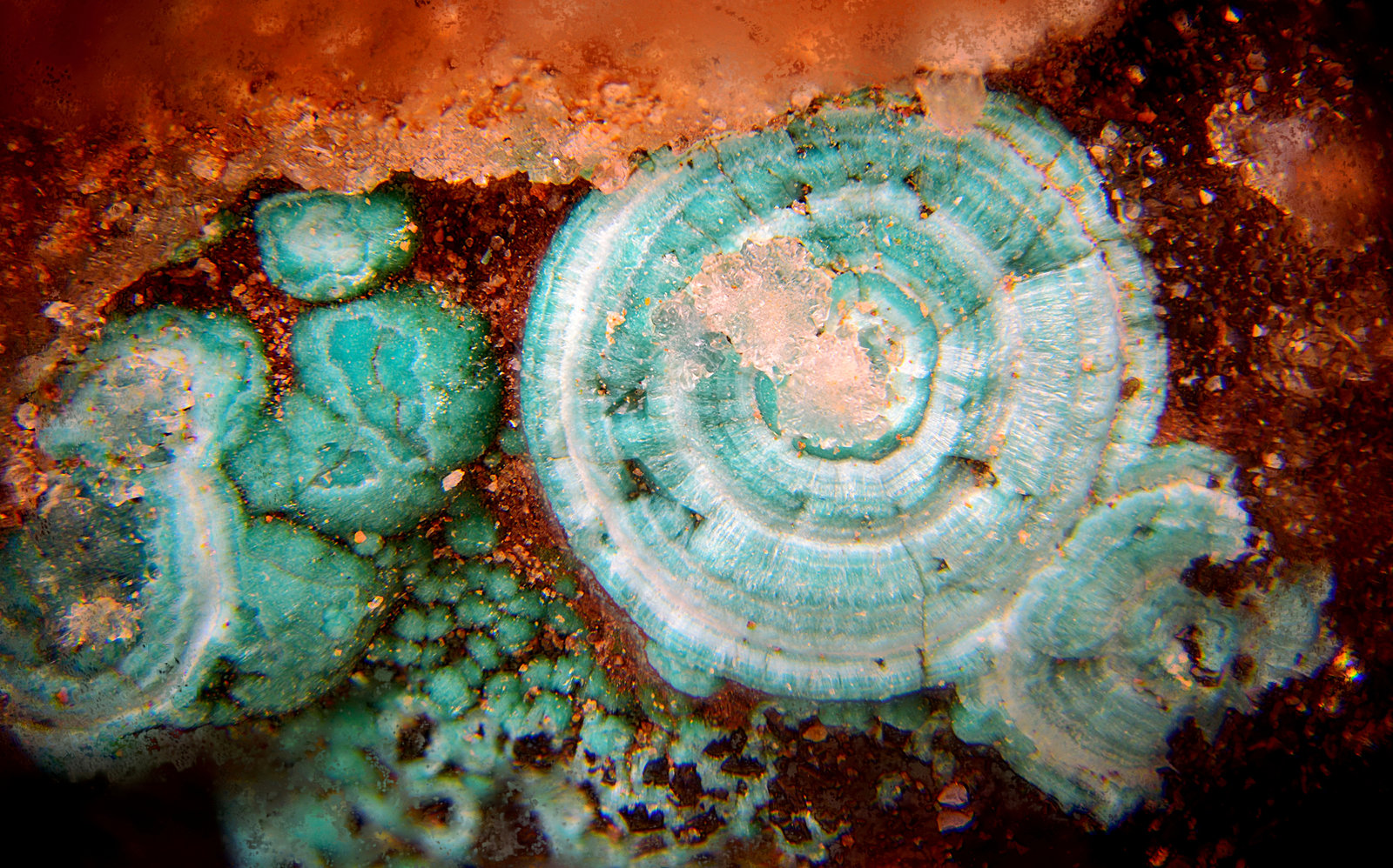 Turquesa
Campo de visión de 6 mm
(Autor: Antonio Carmona)