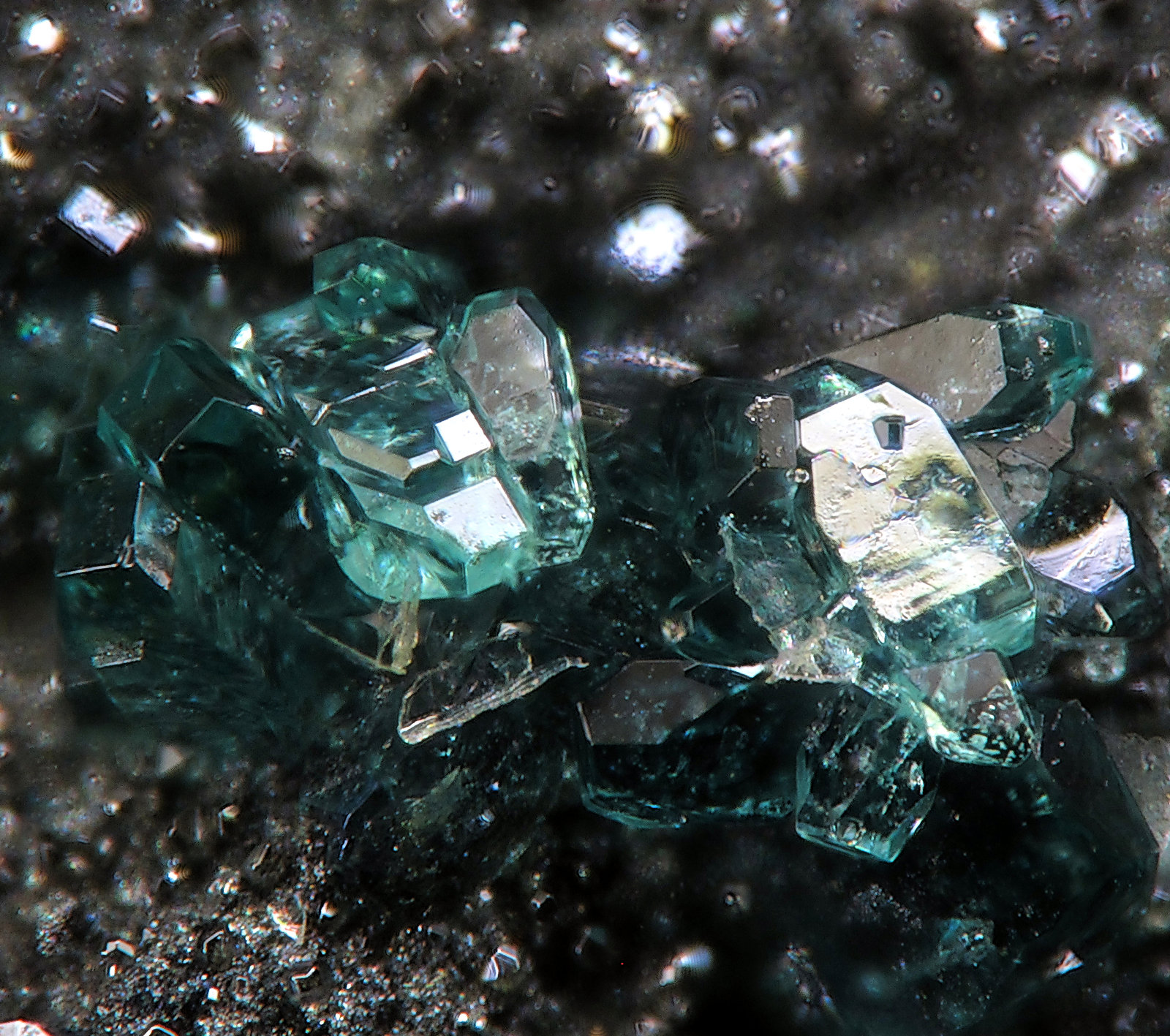 Retgersita
fov 0.9 mm
(Autor: Jordi Fabre)