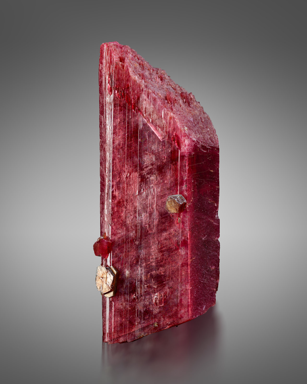 Rodonita
3.5 x 2.5 x 9.5 cm / cristal principal: 9.5 cm
(Autor: Museo MIM)