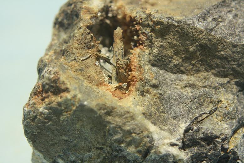Stibnita (Estibina)
Crsital de 2cm
(Autor: minero1968)